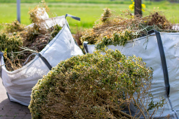Best Appliance Removal Near Me  in Scanlon, MN